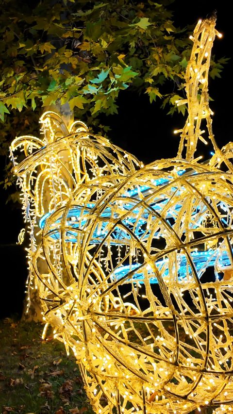 #storyoflights bejegyzés