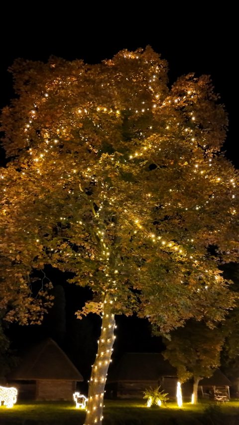 #storyoflights bejegyzés